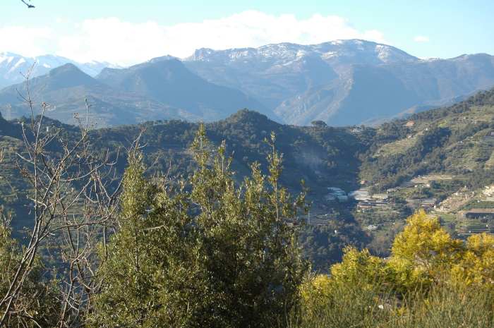 Uno scorcio di Val Verbone, visto dalle alture di Vallebona (IM).